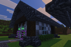 Second-Village-Soulwatchers-Villager-Houses-Pic-2
