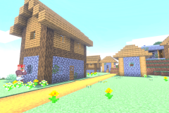 Starter Village Common Area