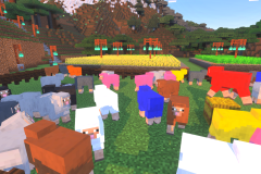 Starter-Village-Common-Area-Pic-19