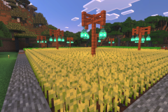 Starter-Village-Common-Area-Pic-22