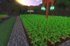 Starter-Village-Common-Area-Pic-23