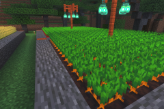 Starter-Village-Common-Area-Pic-24