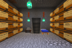 Starter-Village-Common-Area-Pic-26