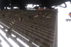 Starter-Village-Common-Area-Pic-34