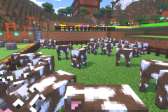 Starter-Village-Common-Area-Pic-9