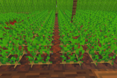 The-Many-Farms-Of-Happysoul-Pic-11
