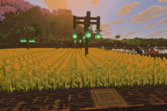 The-Many-Farms-Of-Happysoul-Pic-23