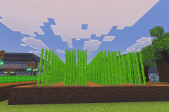 The-Many-Farms-Of-Happysoul-Pic-7