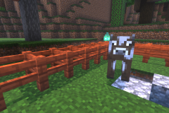 The-Straybies-Pic-10