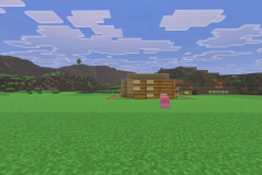 Village-3-Moving-Along-Pic-2