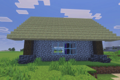 Village-3-Nether-Portal-Pic-4