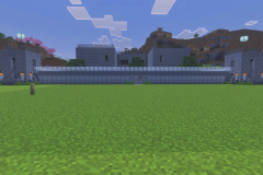 Village-3-Prison-Pic-1