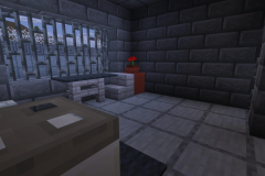 Village-3-Prison-Pic-38