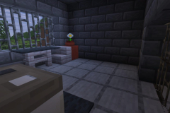 Village-3-Prison-Pic-54