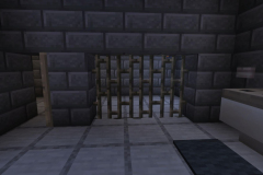 Village-3-Prison-Pic-59