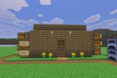 Village-3-Progress-Update-Pic-5