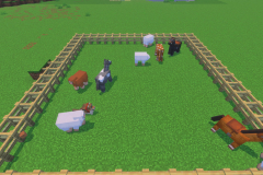 Village-3-Terraform-Update-4-Pic-5