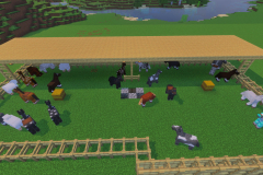 Village-3-Terraform-Update-7-Pic-9