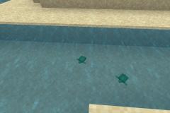 Village-3-We-have-Babies-Pic-4