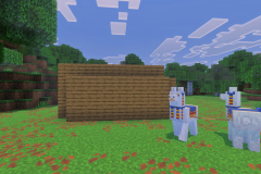 Were-Home-Village-3-Pic-3