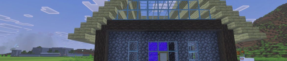 Village 3 Nether Portal Pic 1